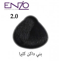 ENZO HAIR COLOR 2.0
