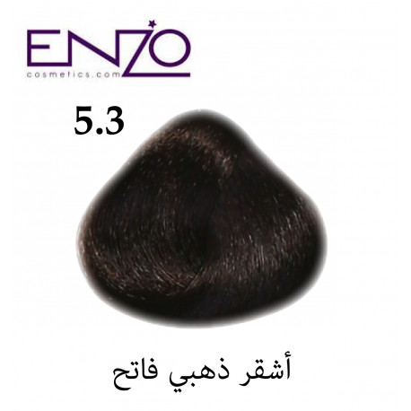 ENZO HAIR COLOR 5.3