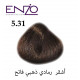 ENZO HAIR COLOR 5.31