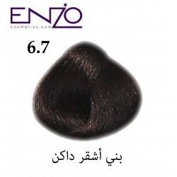 ENZO HAIR COLOR 6.7