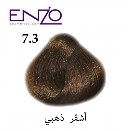 ENZO HAIR COLOR 7.3