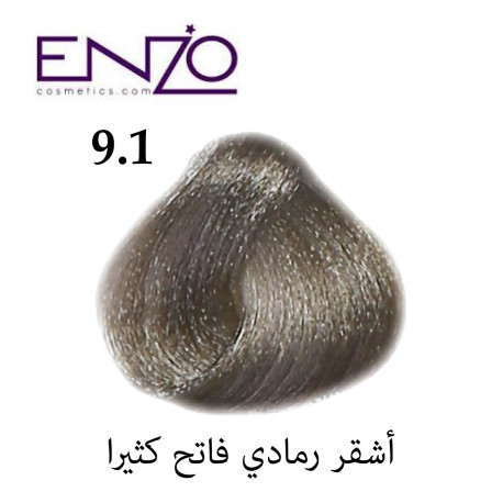 ENZO HAIR COLOR 9.1