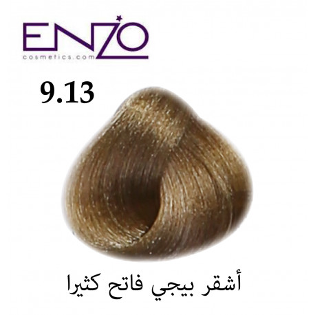 ENZO HAIR COLOR 9.13